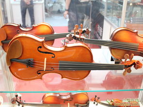palm2011 华东乐器参展小提琴产品亮点全解析