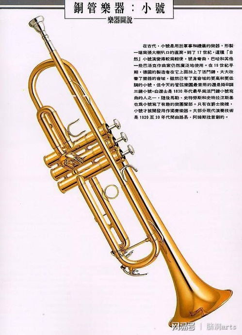 探秘最炫酷的铜管乐器 从古典到现代的魅力之声