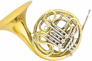 世界乐器大观 一部穿越时空与文明的声音图谱