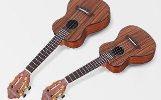 “零基础入门，哪种乐器最友好？”——专家为你解析最容易上手的乐器选择